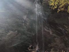 -少华山国家森林公园