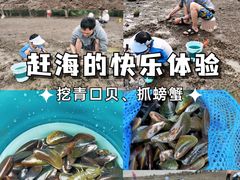 -东寨港红树林旅游区