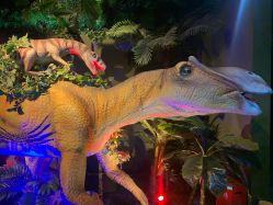 -恐龙探索乐园(磁器口店)