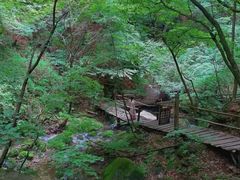 -本溪汤沟绿石谷森林公园