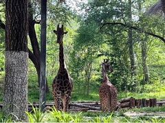 -北京野生动物园