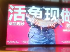 -老板恋上鱼(恒隆广场店)