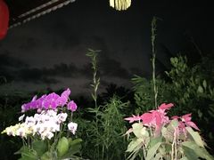 -万兴启丰椰子文化园餐厅