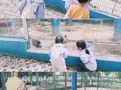 -武汉紫薇都市田园