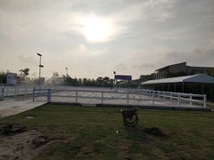 -上海崇明金茂凯悦酒店