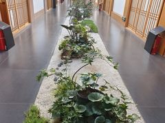 -玖合素手·轻养足浴SPA(云纺大悦城店)