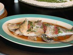 招牌清蒸钱塘江白条-柳莺湖上·湖景餐厅·江南菜(西湖店)