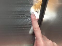 -吴家铺密云三烧(石园鑫海韵通大卖场店)