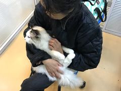 -瑞派·关忠动物医院(国瑞店)