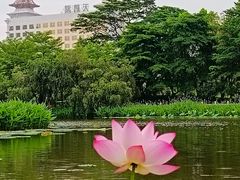 -映月湖公园