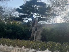 -山东大学(趵突泉校区)