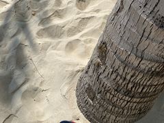 -三亚太阳湾柏悦酒店