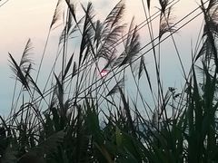 -小南山公园