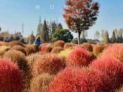 -花开海上生态园