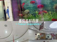 -雅悦齿科(顾村公园店)