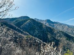 -鹫峰国家森林公园