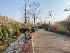-白鹭湾湿地公园
