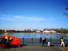 -上海长兴岛郊野公园