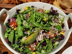 -百好乐宠物友好餐厅(朝外大街店)