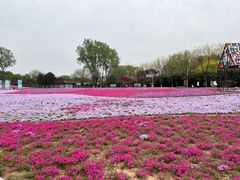 -石家庄市植物园