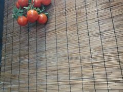 -东北大院·东北菜(三台子店)