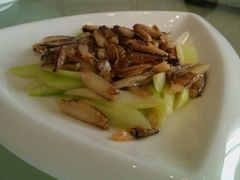 -新光酒家·河豚·海鲜·蟹料理(浦东店)