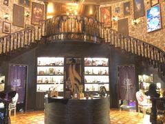 -雪灵魔法世界SHELLY’S TAROT(大良桂畔里店)