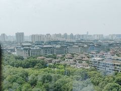 -烛影拾光观景餐厅·创意菜·摄影·小提琴(大唐不夜城店)