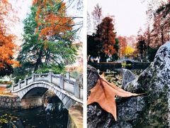 -安徽大学(龙河校区)