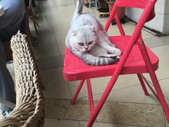 -MIKAKU(万达广场上海宝山店)