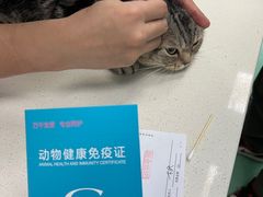 -北京观赏动物医院·24小时大型综合·猫专科·异宠专科