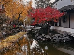 -秋霞圃