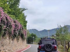 -密云玫瑰情园