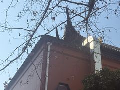 -上海白云观
