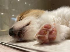 -乐宠宠物店(世纪金源店)