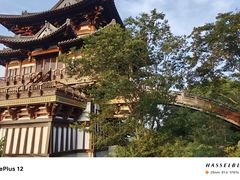 -雅达·阳羡溪山小镇中心