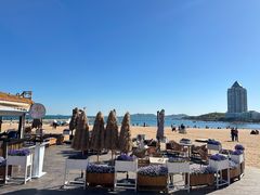 -青岛第二海水浴场