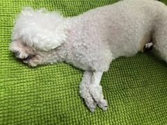 -酷宠动物医院(天通西苑店)