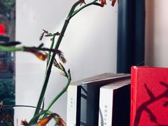 -常识咖啡common sense(春熙路店)