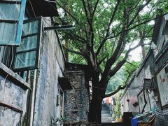 -古道第一家餐馆