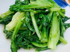炒油麦菜-东家小院金汤酸菜鱼(南阳路店)