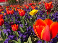 -南通洲际绿博园