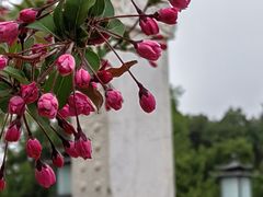-北海公园