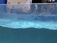 -重庆欢乐海底世界