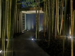 -穹六人间 people 6(岳阳路店)