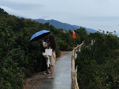 -西涌国际滨海旅游区