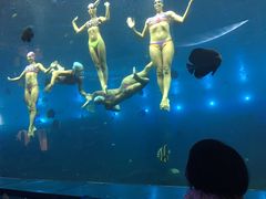 -瑞德姆美人鱼海底演艺主题餐厅(亚龙湾店)