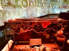 -地球美食剧场
