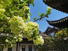 -常熟方塔园