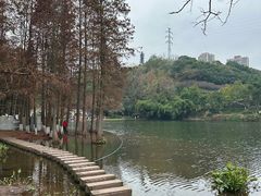 -重庆彩云湖湿地公园